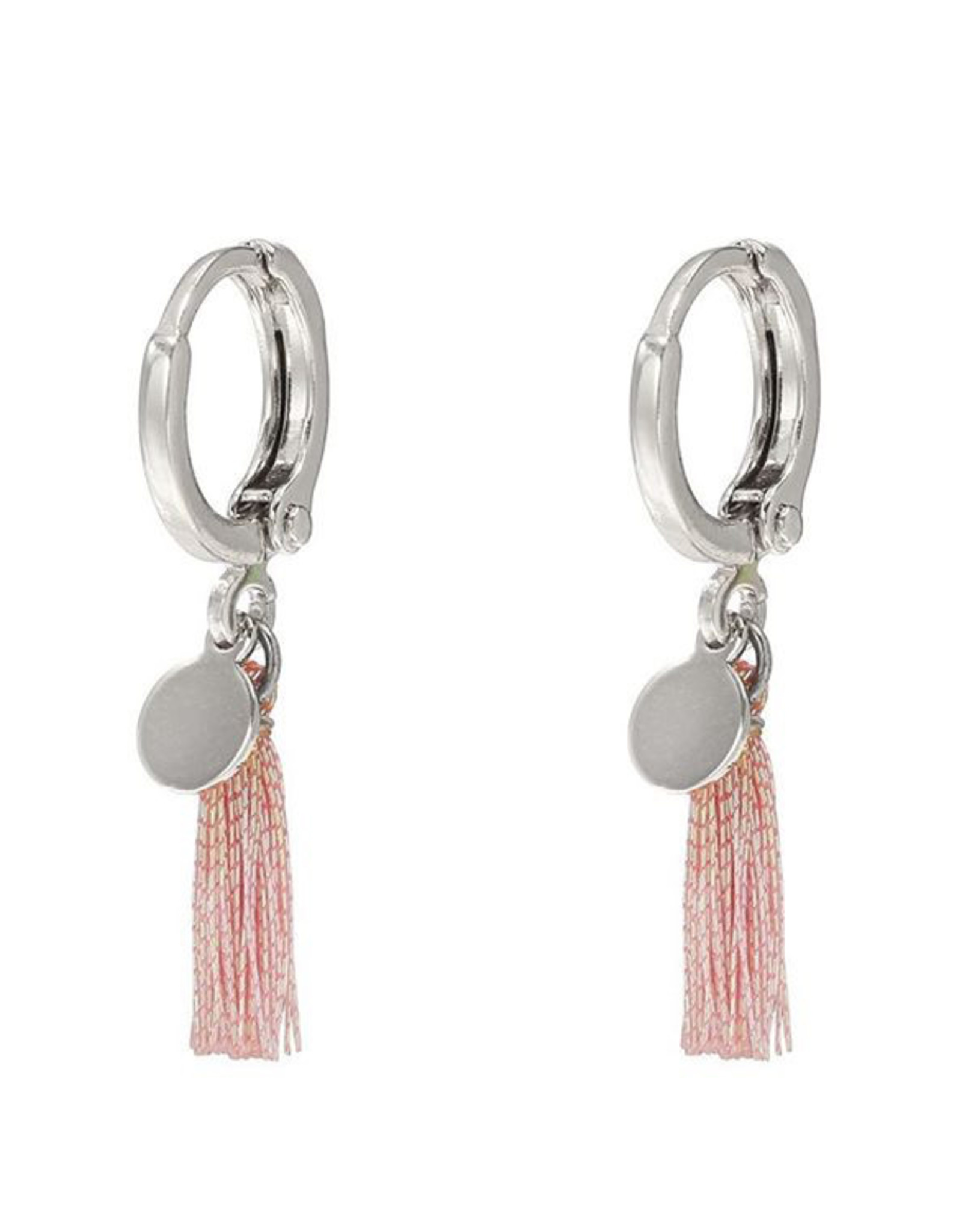 Oorbellen shiny tassel - zilver