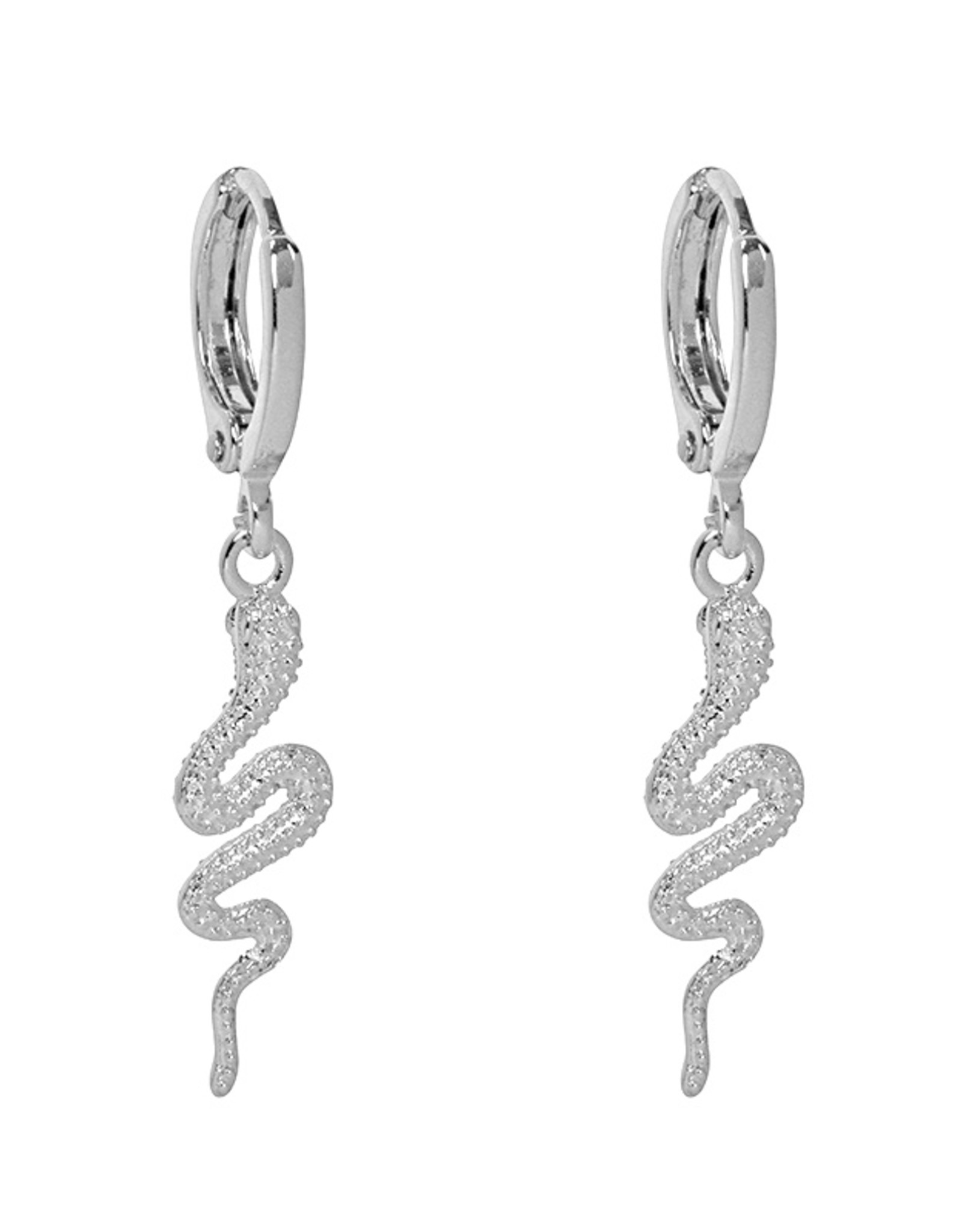 Oorbellen special snake - zilver