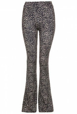 Zwarte flared broek zebra print