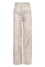 Metallic pantalon goud