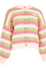 Gestreept vest hartjes - roze/groen/creme