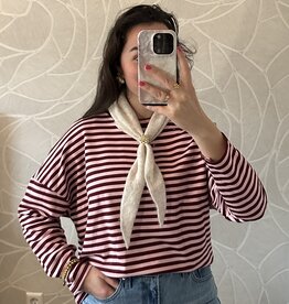 Gestreept shirt - roze/bordeaux