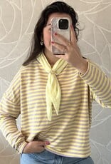 Gestreept shirt - lila/geel