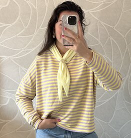 Gestreept shirt - lila/geel