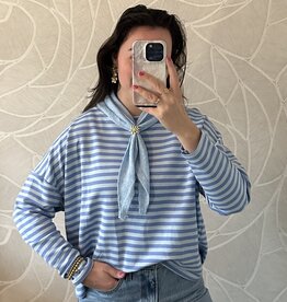 Gestreept shirt - lichtblauw/blauw