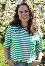 Gestreept t-shirt - groen/wit