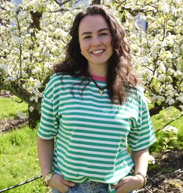 Gestreept t-shirt - groen/wit