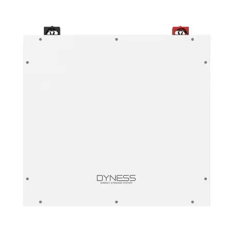 Dyness DYNESS | DL5.0C | 5.12 kWh | Low Voltage