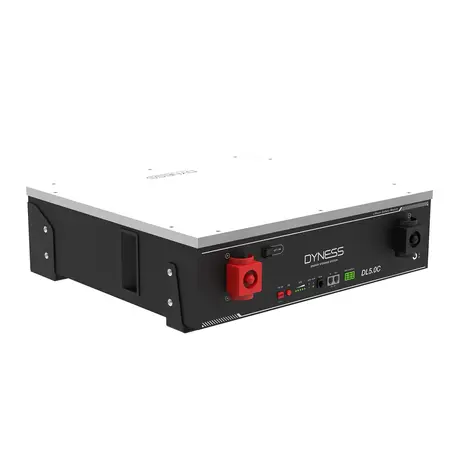 Dyness DYNESS | DL5.0C | 5.12 kWh | Low Voltage
