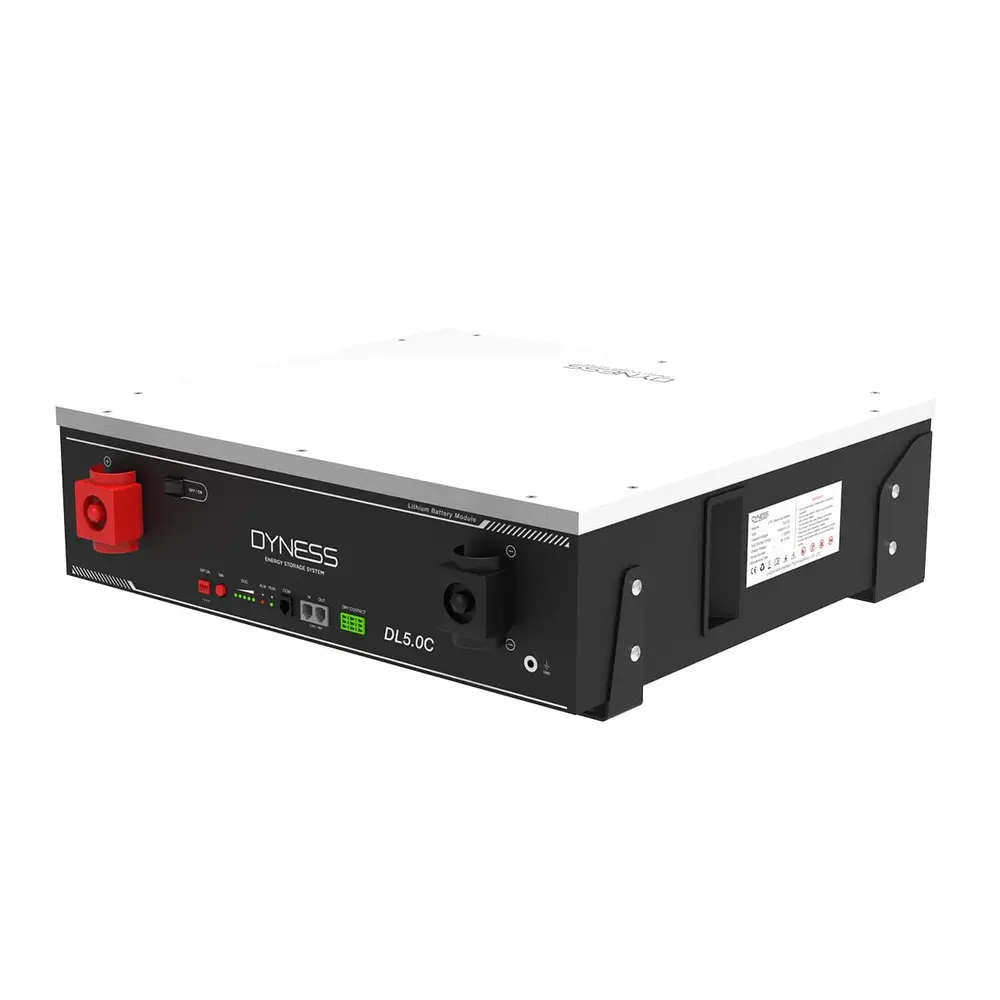 Dyness DYNESS | DL5.0C | 5.12 kWh | Low Voltage