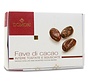 Kakaobohnen Fave di Cacao