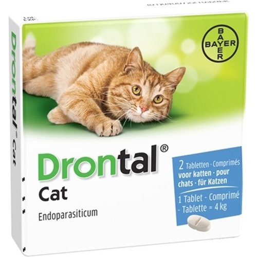 drontal cat xl worming tablets