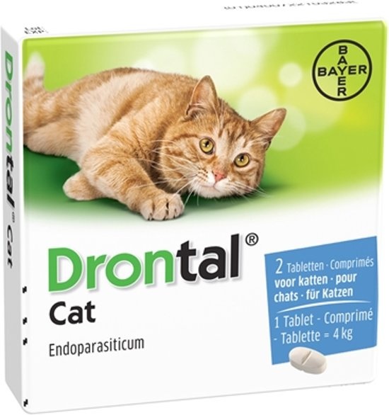bayer drontal cat worming tablet