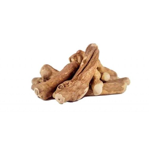 coffee root dog chew