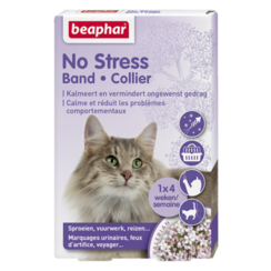 No Stress band cat