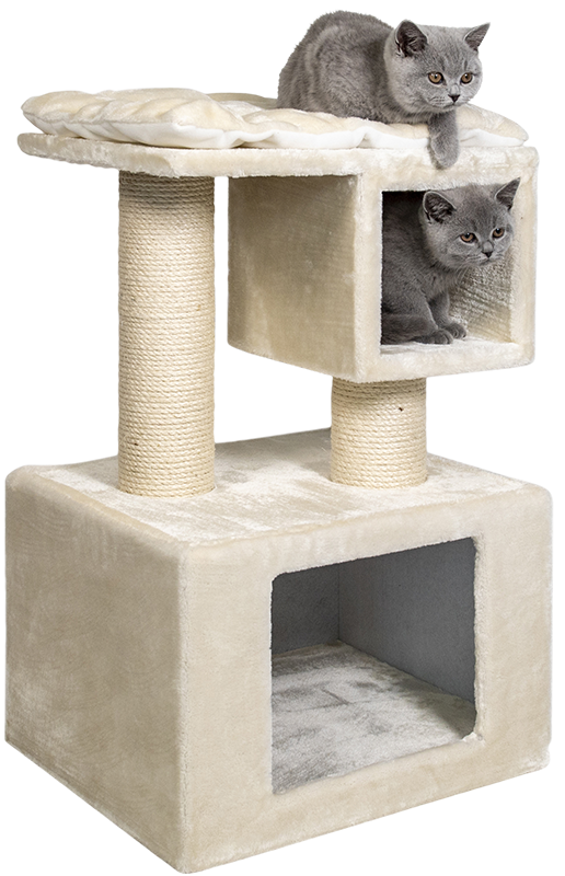 sebastian cat tree