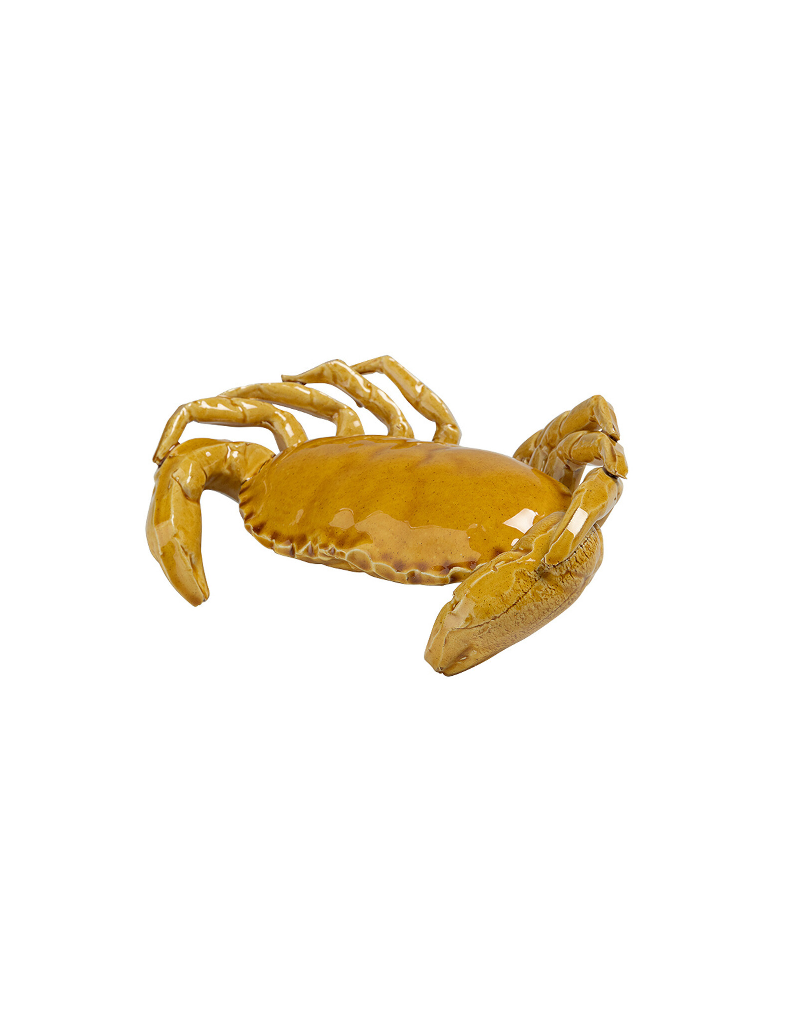 Krab 19cm maisgeel