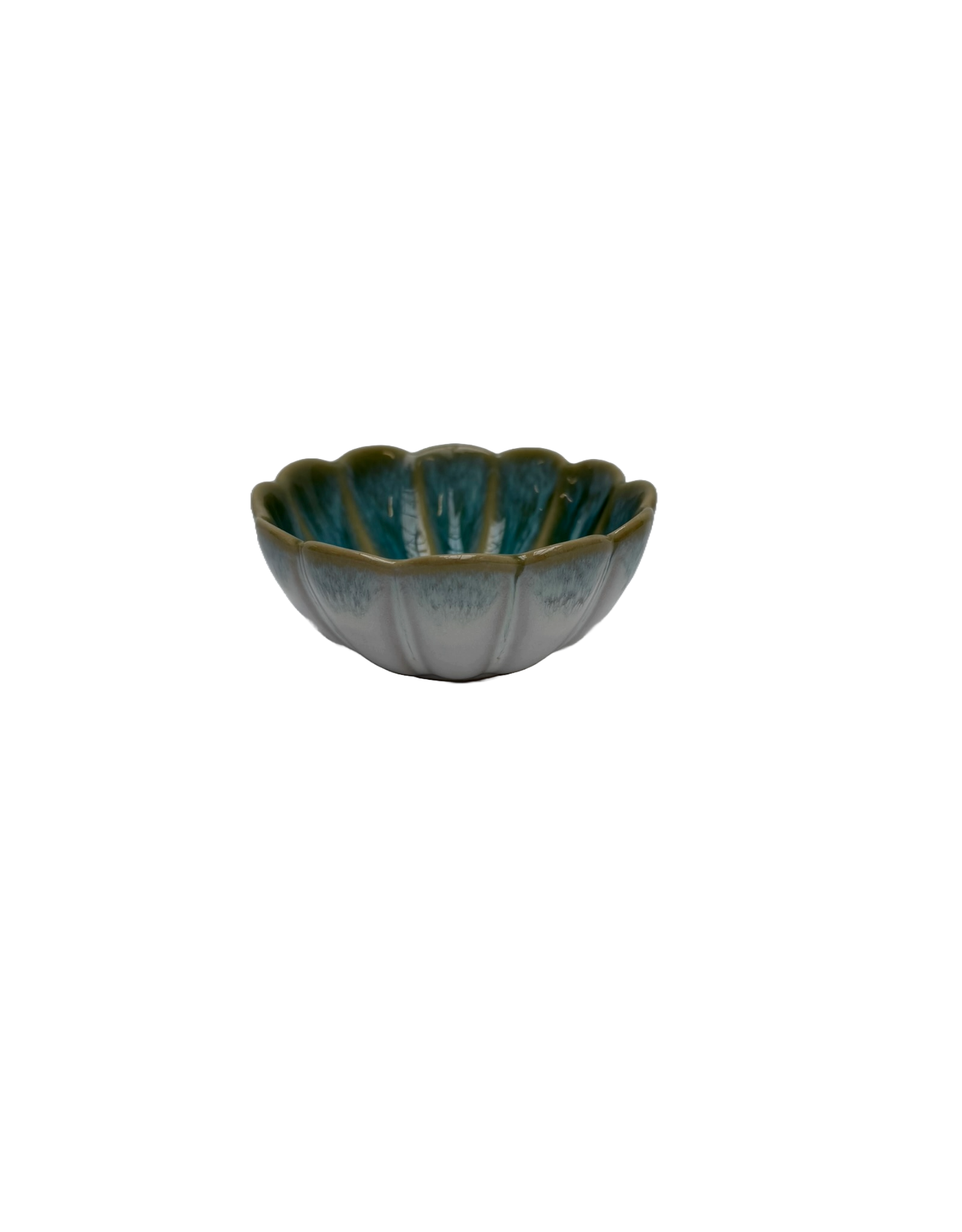 Minikom bloem 10 cm Pedra Praia groen
