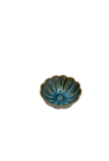 Minikom bloem 10 cm Pedra Praia groen