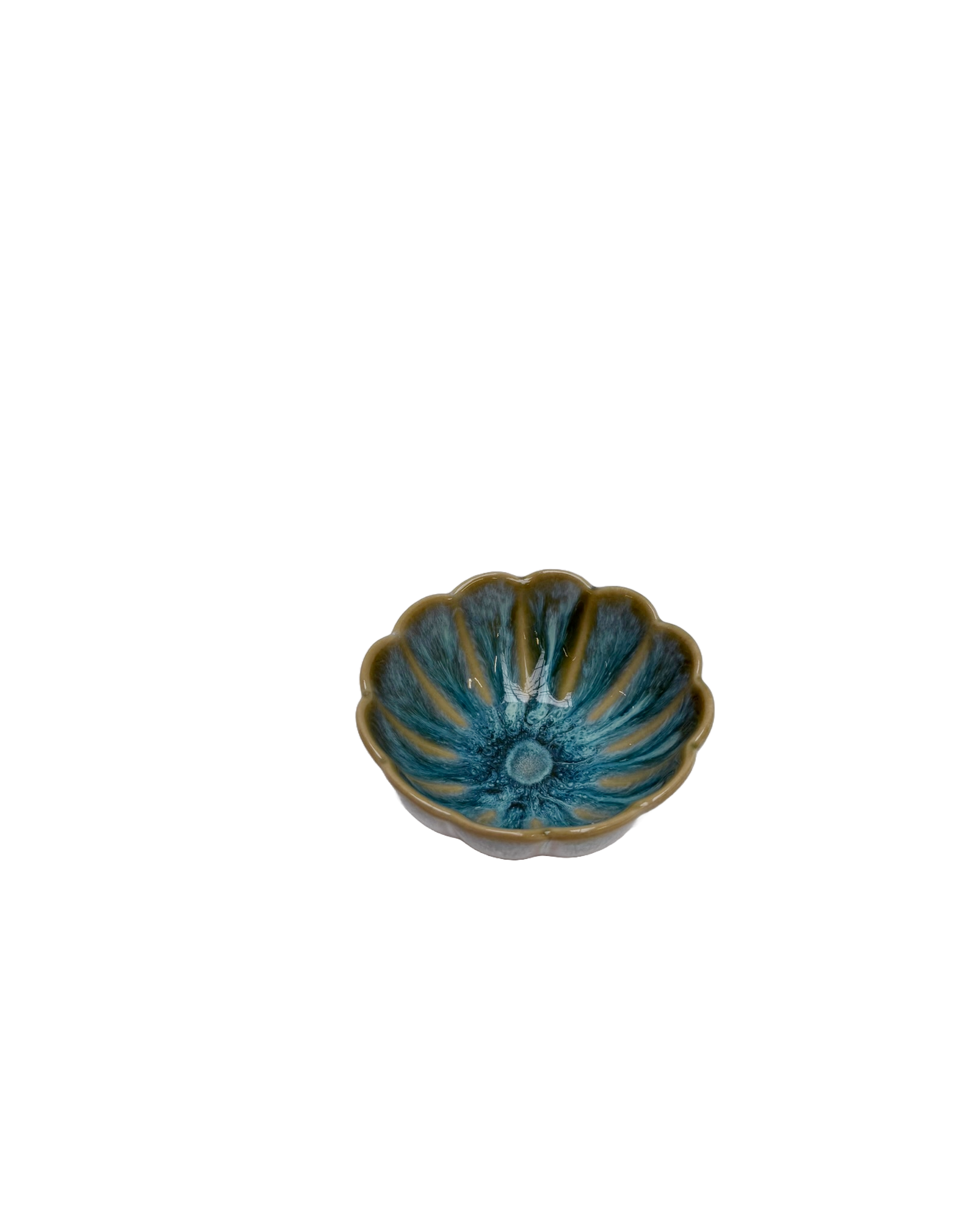 Minikom bloem 10 cm Pedra Praia groen