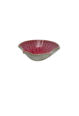 St Jacobschelp Pedra Camilia roze