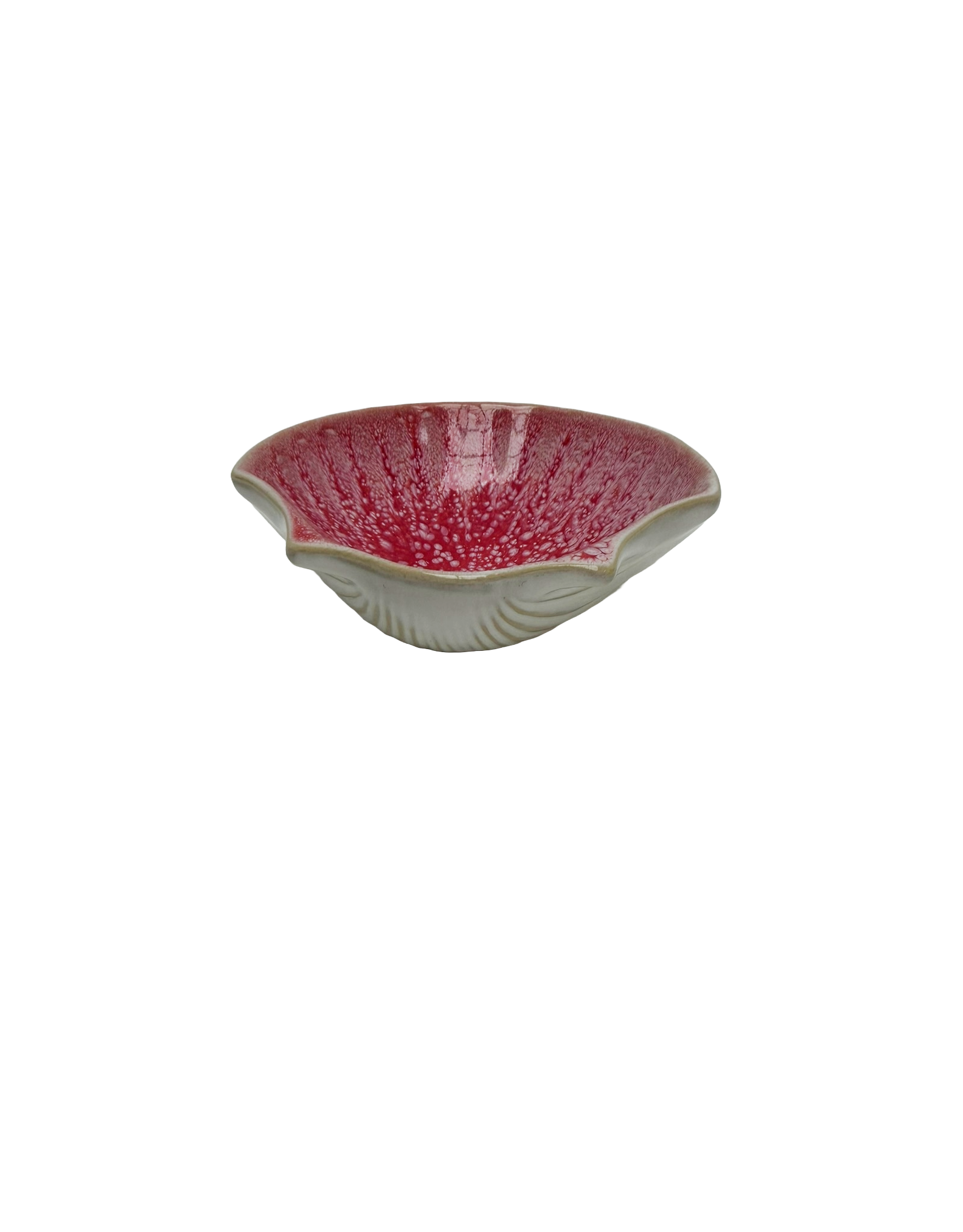 St Jacobschelp Pedra Camilia roze