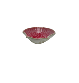 St Jacobschelp Pedra Camilia roze