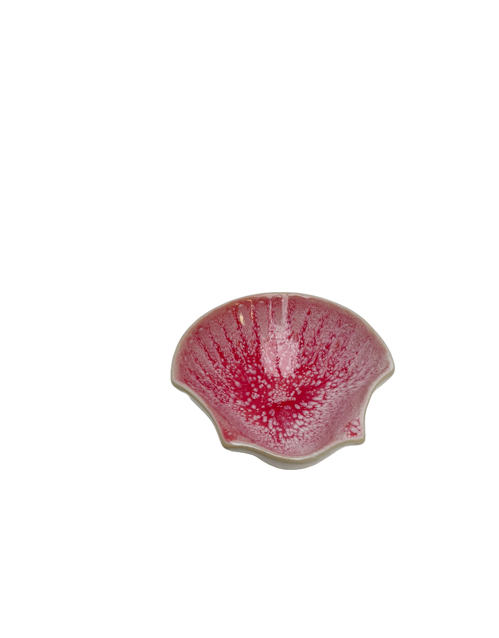St Jacobschelp Pedra Camilia roze