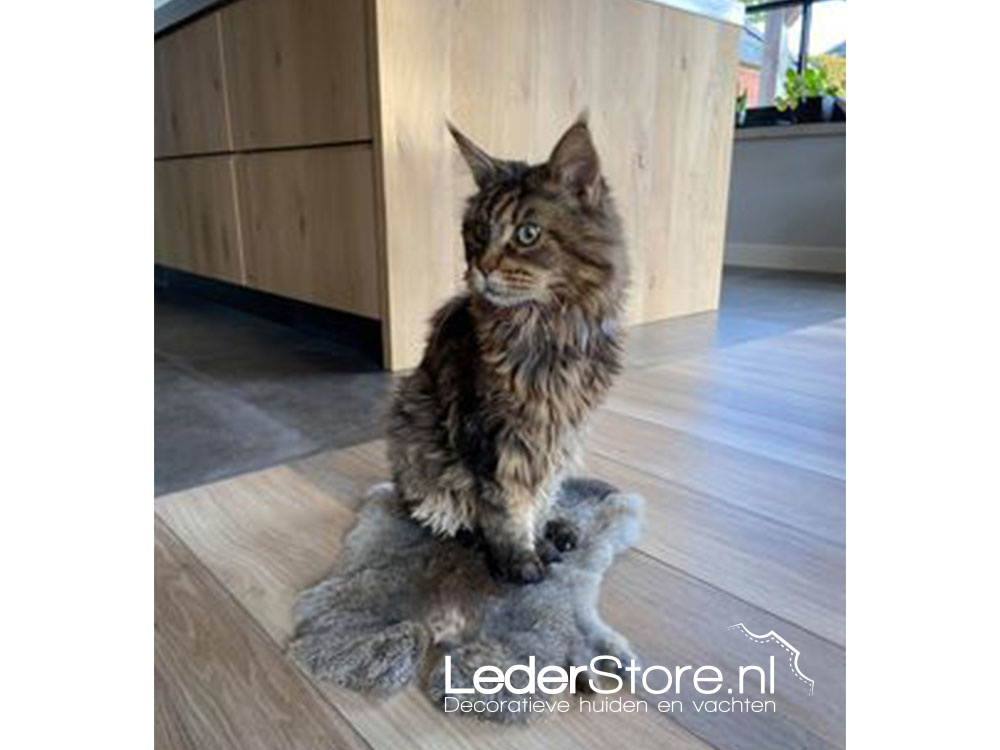 Koen the cat on rabbit fur in kitchen