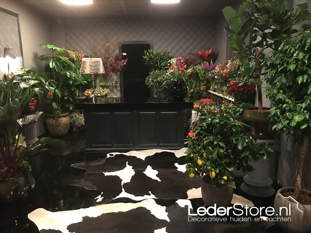 Two black and white cowhides in flower store Phoeniks