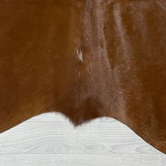 Koeienhuid bruin wit Hereford 215x200cm M/L
