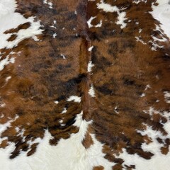 Cowhide brown black white tricolor Normandier 225x210cm M/L