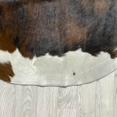 Cowhide brown black white tricolor Normandier 235x210cm XL