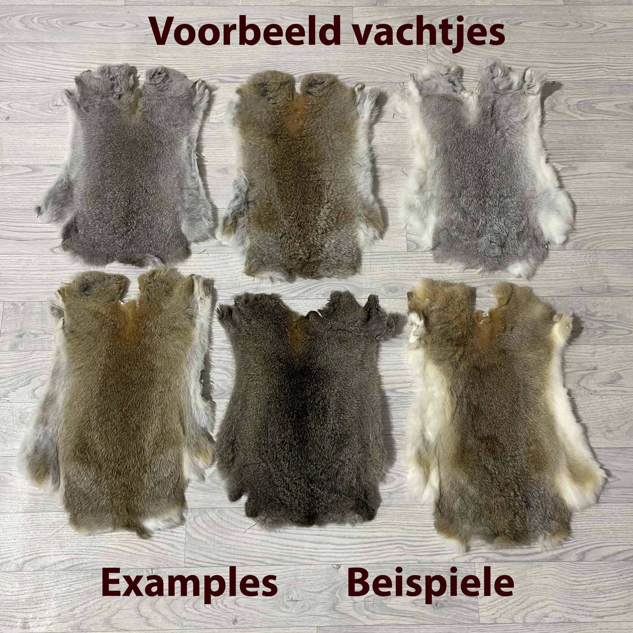Lederstore Konijnenvachten A-keus mix