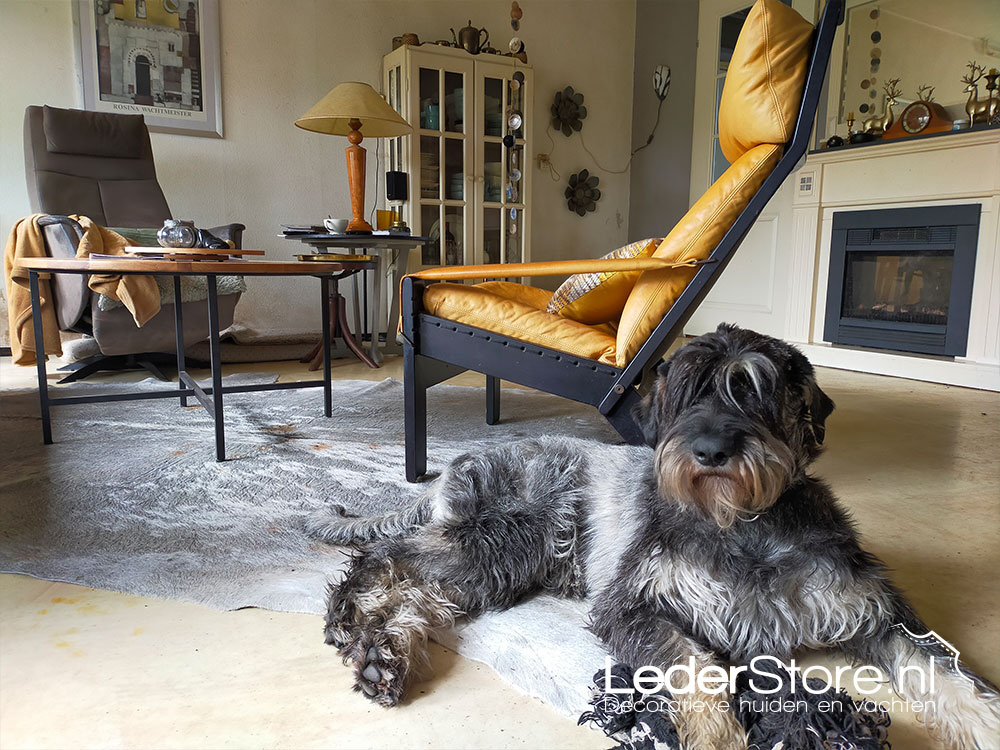 Cowhide gray white brown Margre Riesenschnauzers