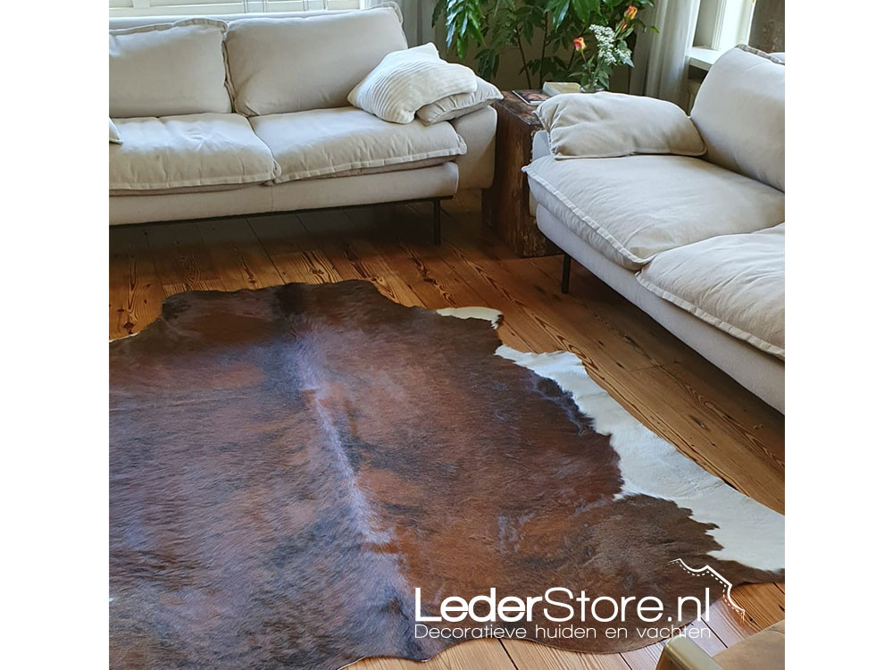 Cowhide tricolor Normandier on floor in living room Roelie