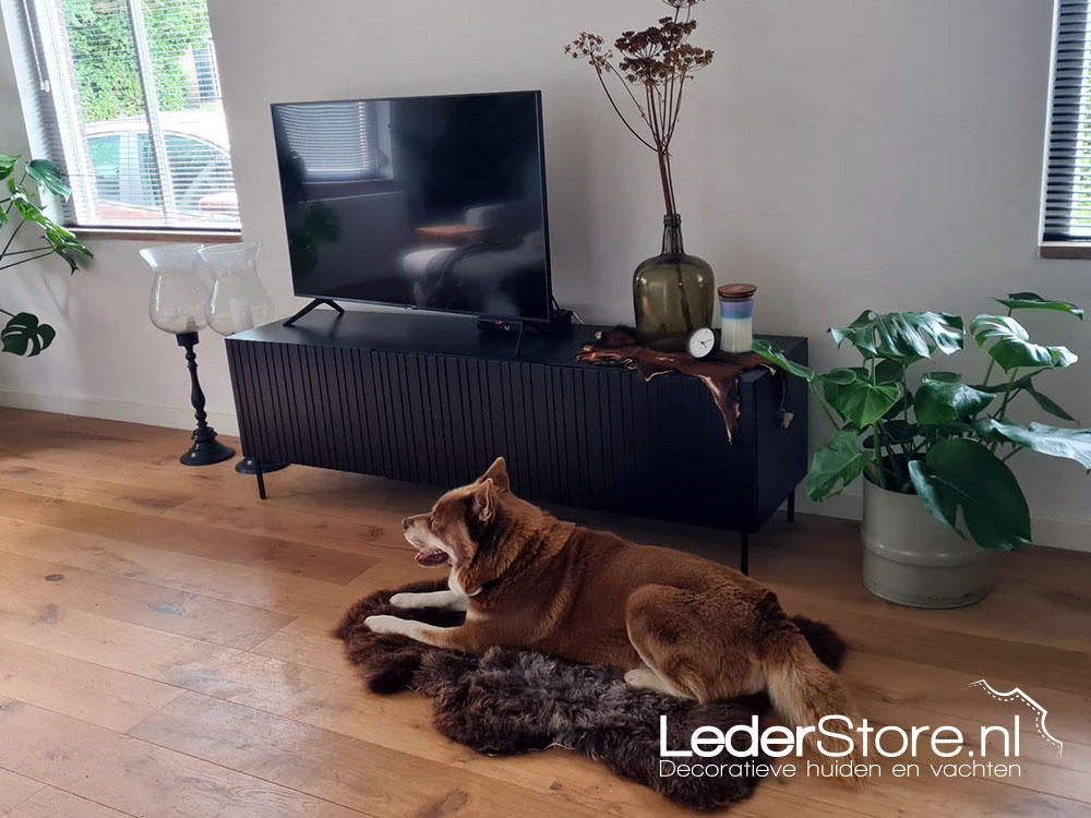 Dog Bear on sheepskin brown in living room 2