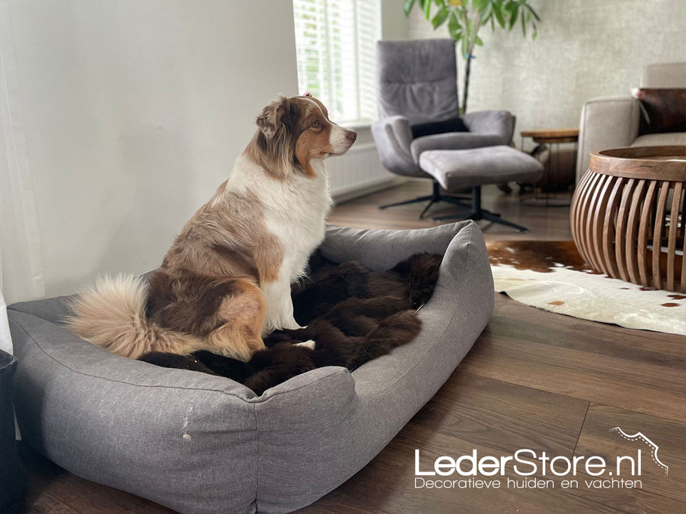 Sheepskin in dog basket with dog sitting on sheepskin