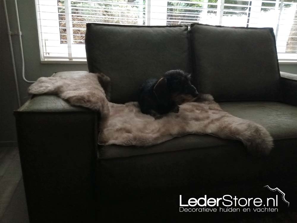 Sheepskin taupe on sofa with dog Olly Ellen 1