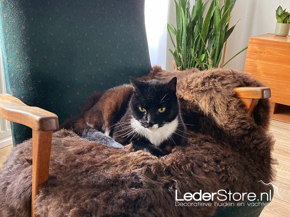 Brown sheepskin in rocking chair with cat 2