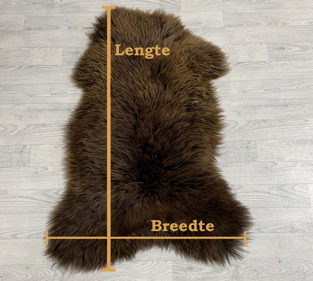 Measuring sheepskin