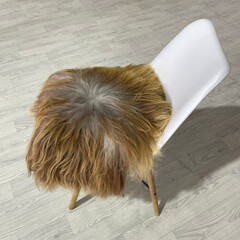 Sheepskin chair cushion brown gray white Icelandic square 40x40cm