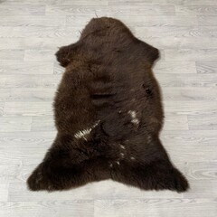 Sheepskin brown white 115x90cm M