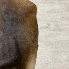 Cowhide brown black 190x170cm S