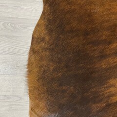 Cowhide brown black 185x175cm S