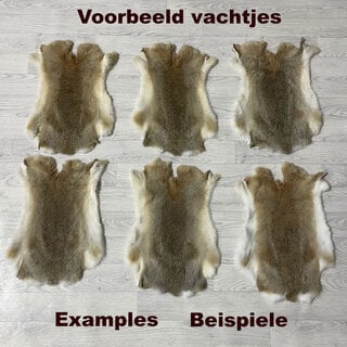 Konijnenvachten beige grijs wit L45-50 x B30-40cm
