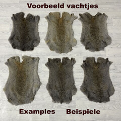 Konijnenvachten bruin grijs L45-50 x B30-40cm