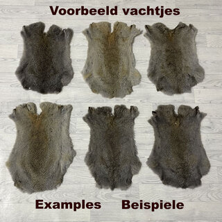 Konijnenvachten bruin grijs L45-50 x B30-40cm