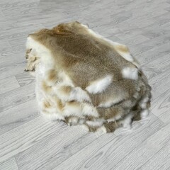 Konijnenvachten beige grijs wit L45-50 x B30-40cm