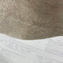 Koeienhuid taupe 245x210cm XXL